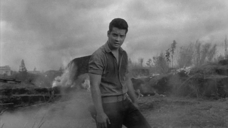 кадр из фильма Intramuros