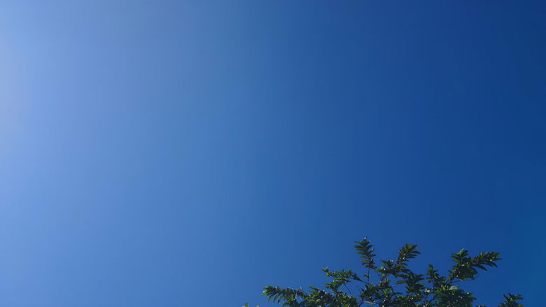 кадр из фильма A Pílula Azul