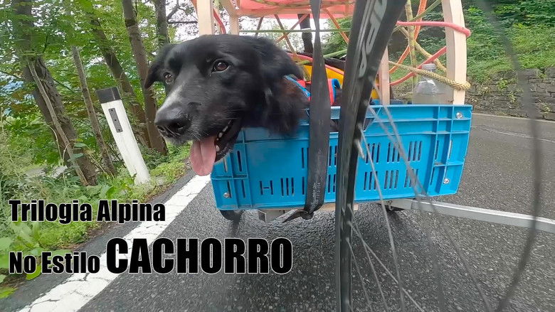 кадр из фильма Alpine Trilogy