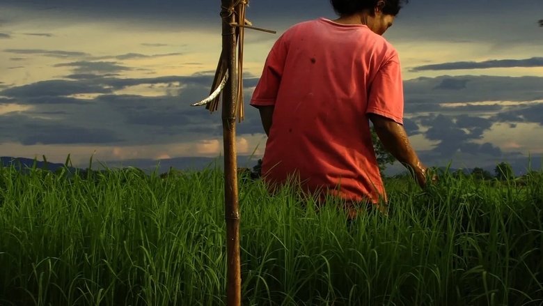 кадр из фильма สวรรค์บ้านนา