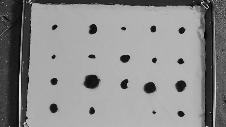 кадр из фильма La Casa de Cortés