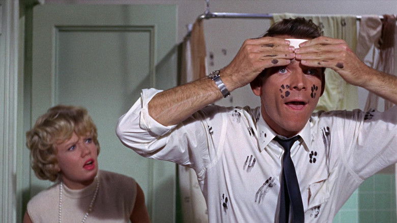 кадр из фильма Эта дикая кошка