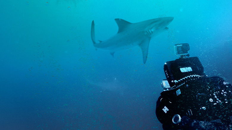 кадр из фильма Bull Shark Bandits