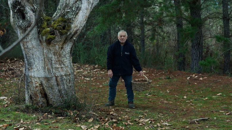 кадр из фильма Santa Compaña