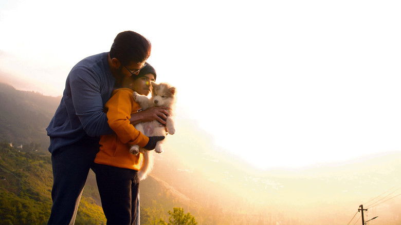 кадр из фильма Oh My Dog