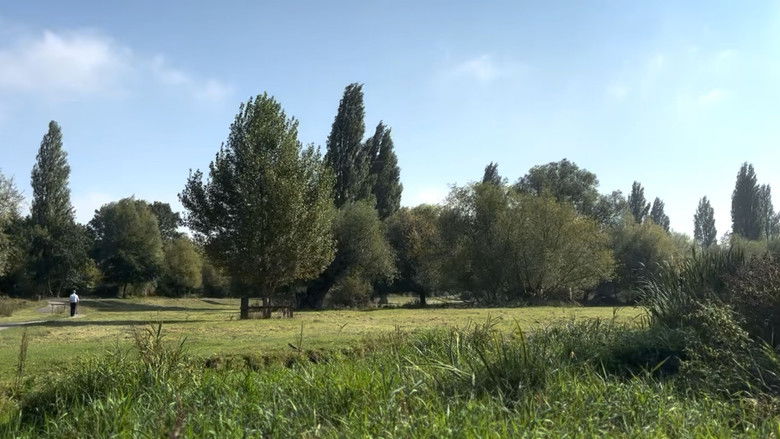 кадр из фильма Mouvements