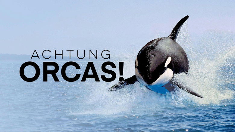кадр из фильма Achtung Orcas! Gefahr vor Gibraltar?