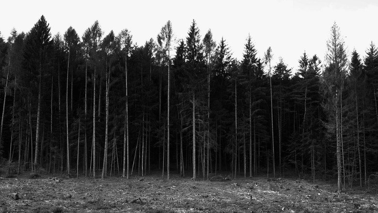 кадр из фильма Non lasciarmi