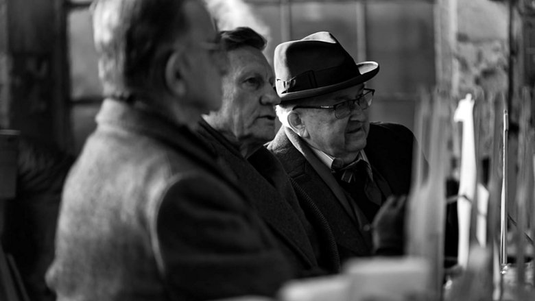 кадр из фильма Pan T.