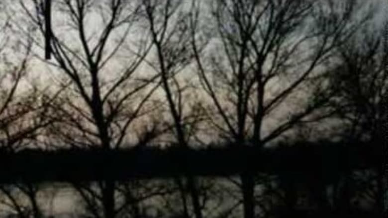 кадр из фильма One Dream