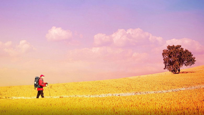 кадр из фильма Путь, мой путь