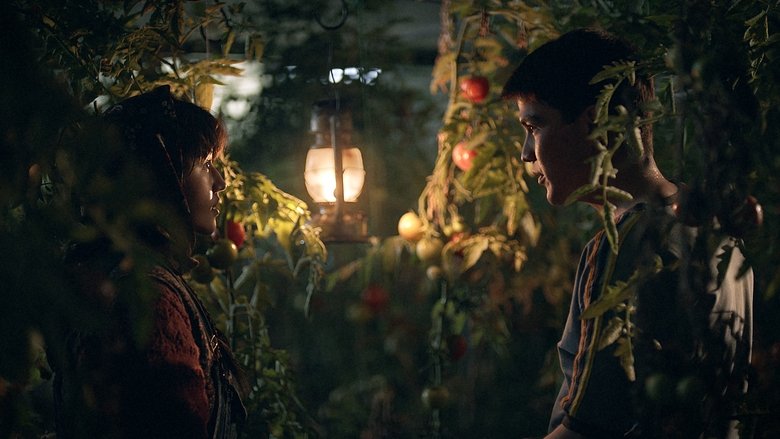 кадр из фильма در سرزمین برادر