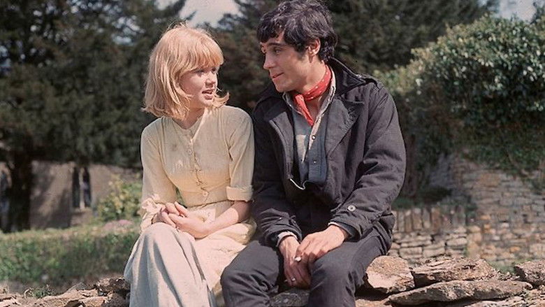 кадр из фильма Sky West and Crooked