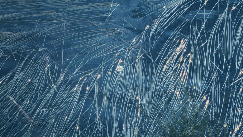 кадр из фильма fire and ice