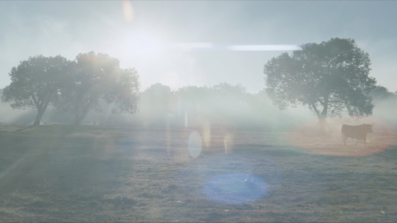 кадр из фильма Наше время