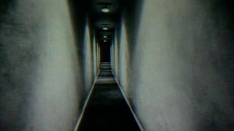 кадр из фильма Corridor
