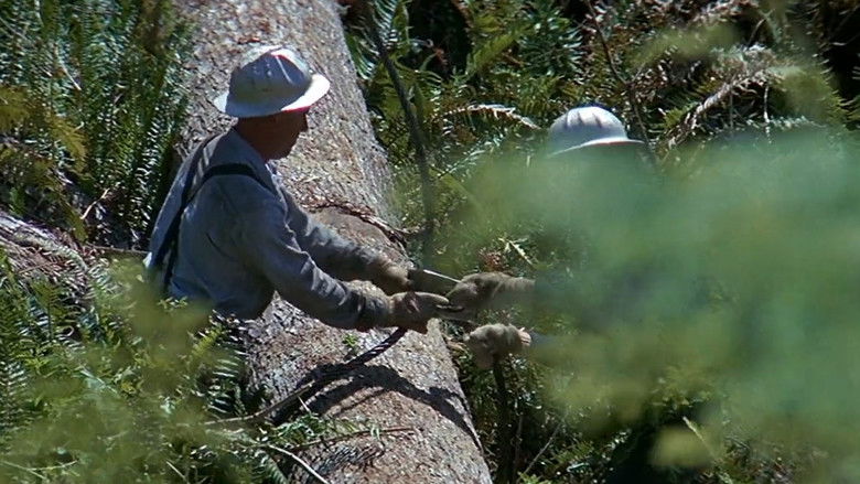 кадр из фильма Иногда великая идея...
