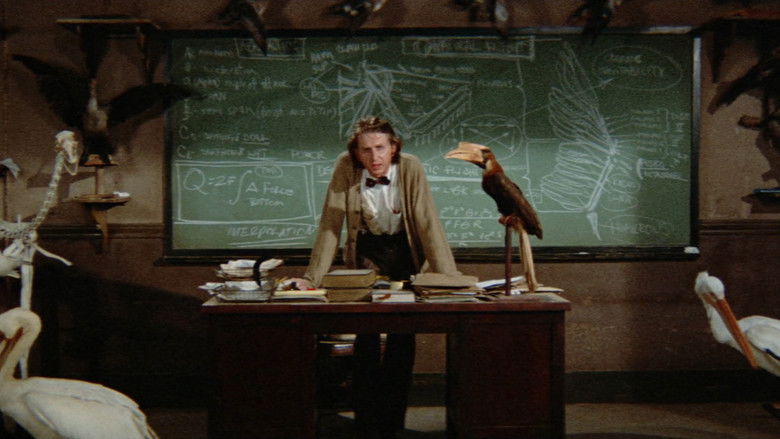 кадр из фильма Брюстер МакКлауд