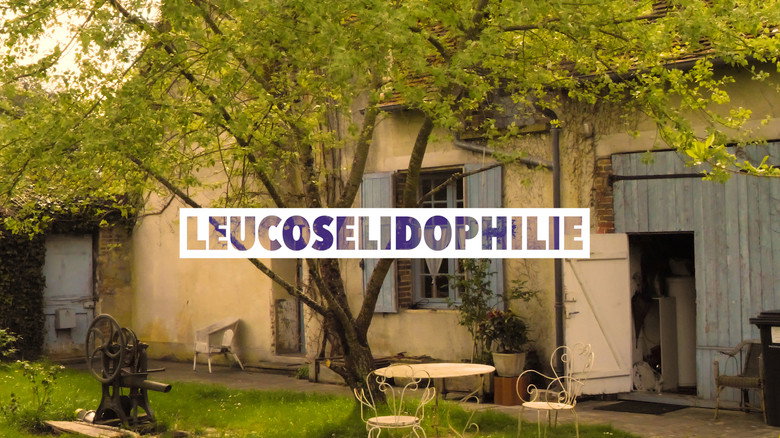 кадр из фильма Leucosélidophilie