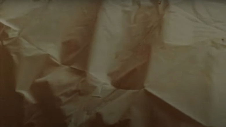 кадр из фильма The Act of Seeing with One's Own Eyes