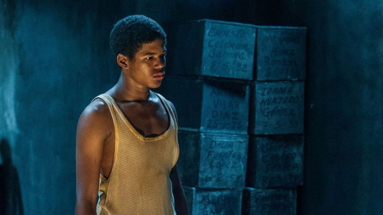 кадр из фильма El Rey de La Habana