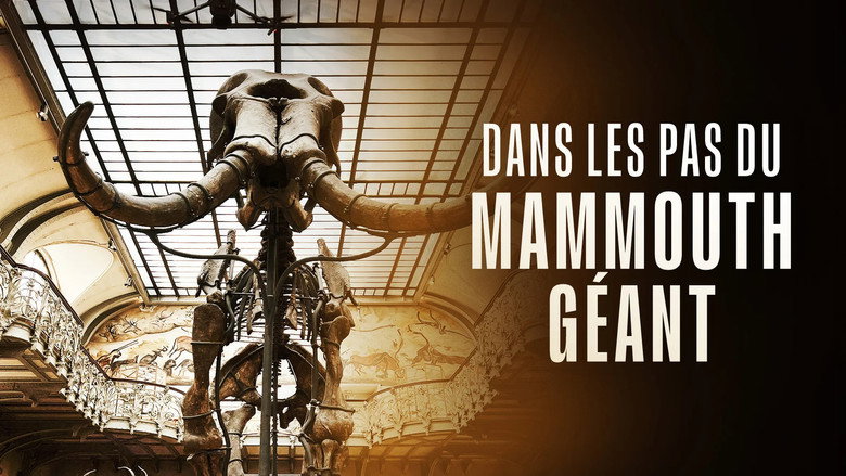 кадр из фильма Dans les pas du mammouth géant