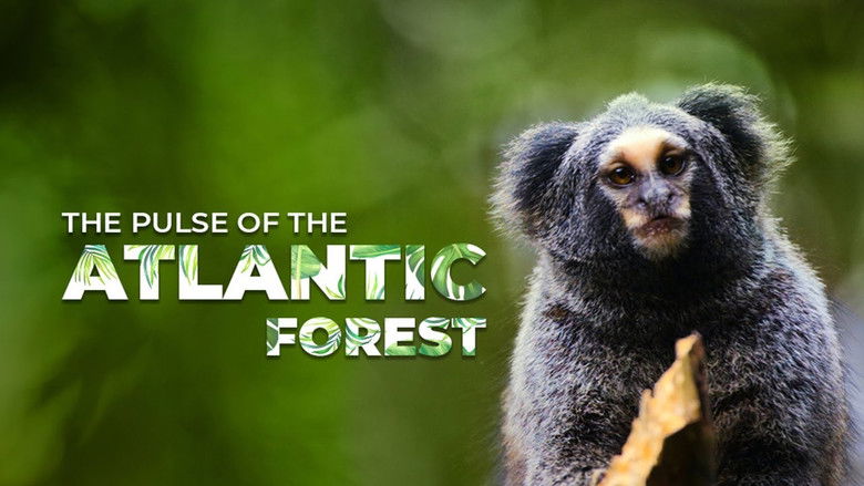 кадр из фильма The Pulse of the Atlantic Forest