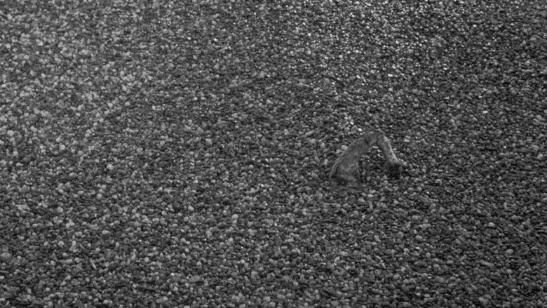 кадр из фильма Schwarzer Kies