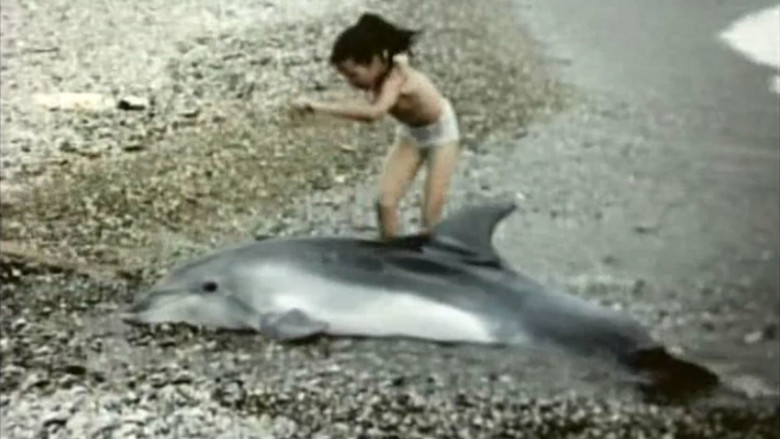кадр из фильма Метичара, зверь морской
