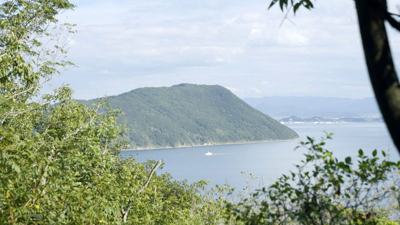 кадр из фильма Остров кошек