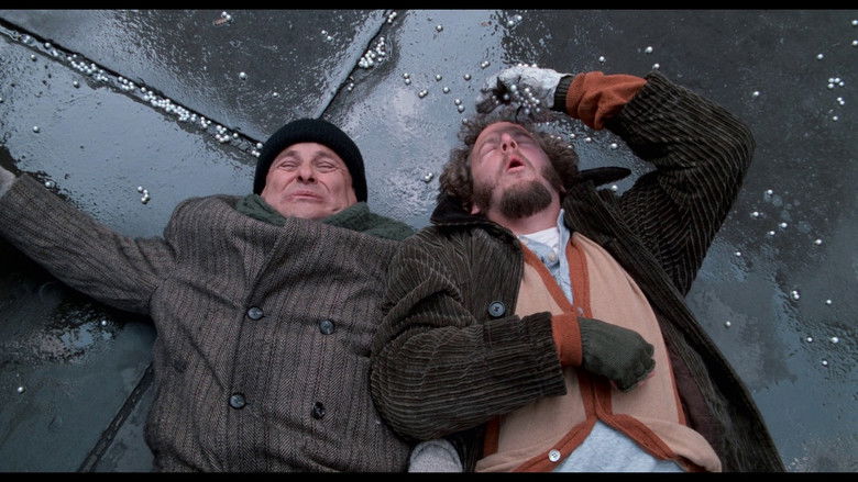 кадр из фильма Один дома 2: Затерянный в Нью-Йорке