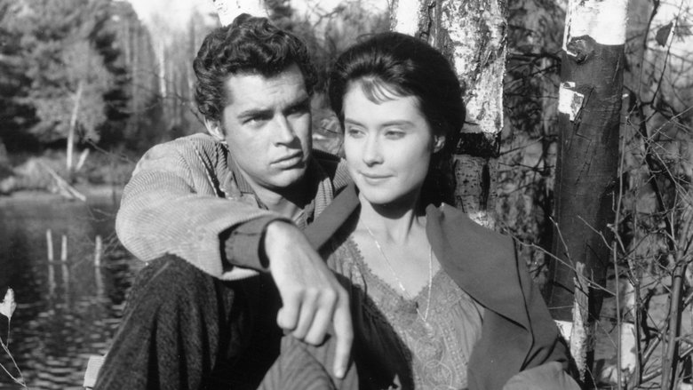 кадр из фильма Hemingway’s Adventures of a Young Man