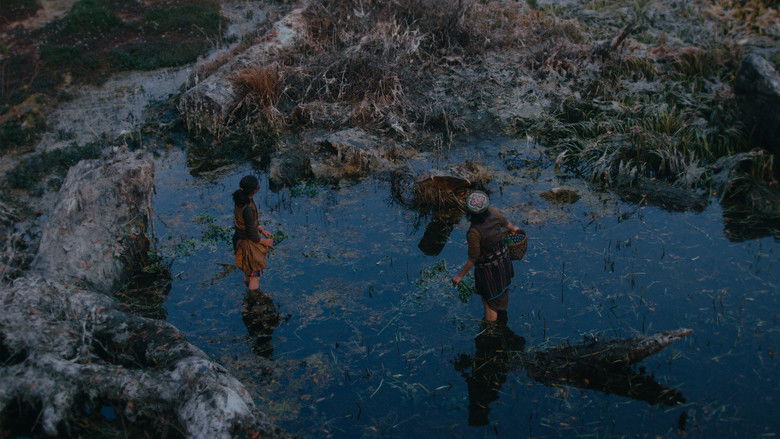 кадр из фильма Family Man