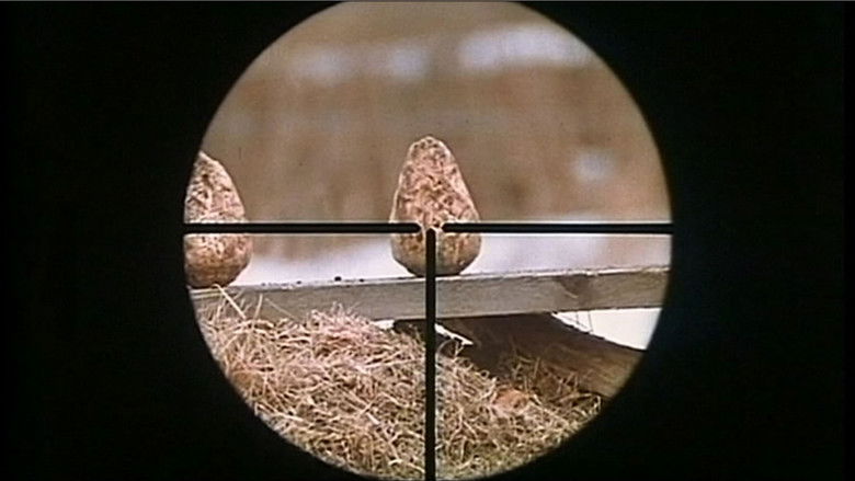 кадр из фильма Den vita lejoninnan