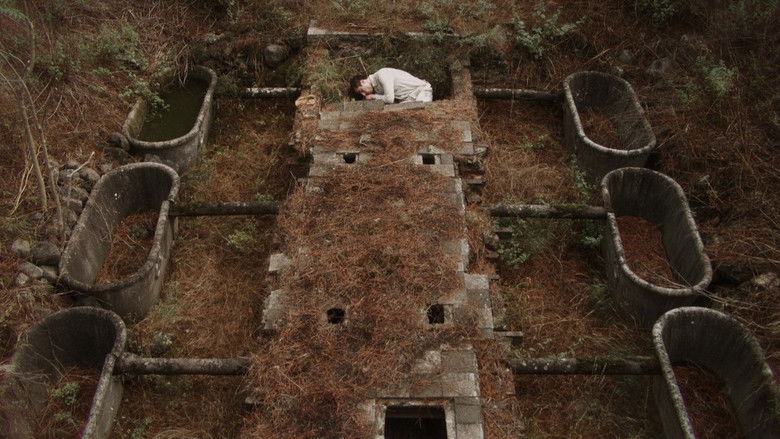 кадр из фильма Νοτούρνο