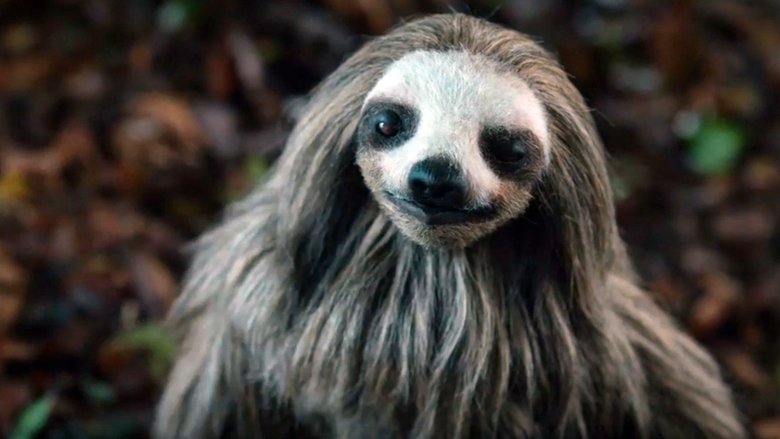 кадр из фильма Мой ленивец-убийца