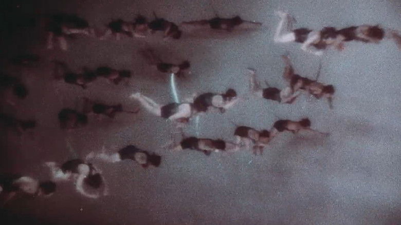 кадр из фильма Черный пират