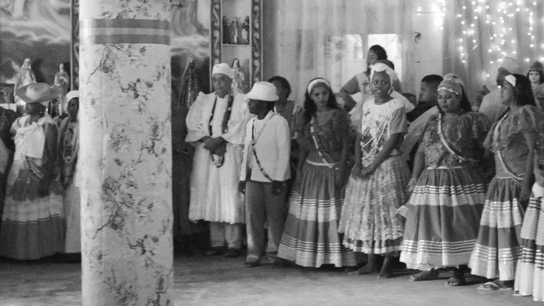 кадр из фильма cristaliza se; e ressoa