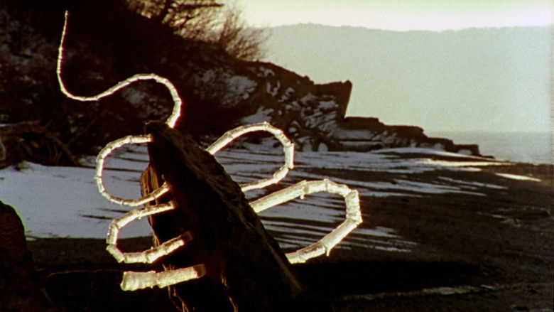 кадр из фильма Rivers and Tides