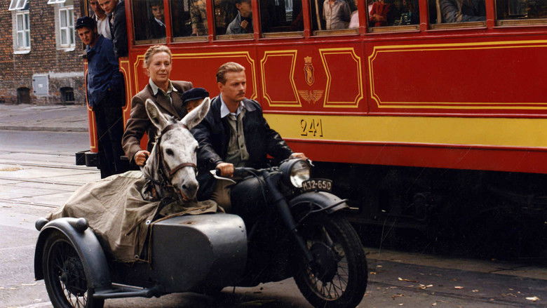 кадр из фильма Галоп