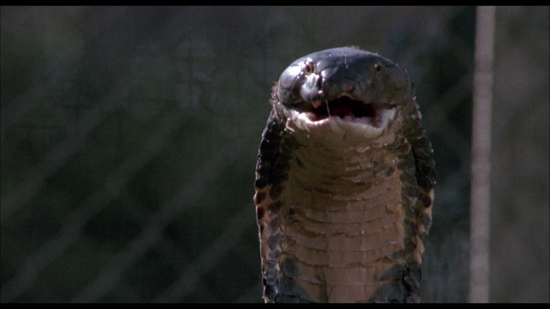 кадр из фильма Ссссссс