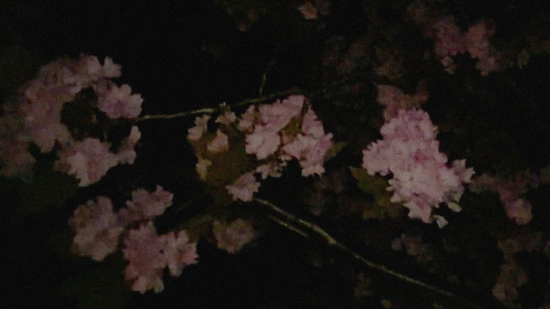 кадр из фильма Fire for a Dry Mouth