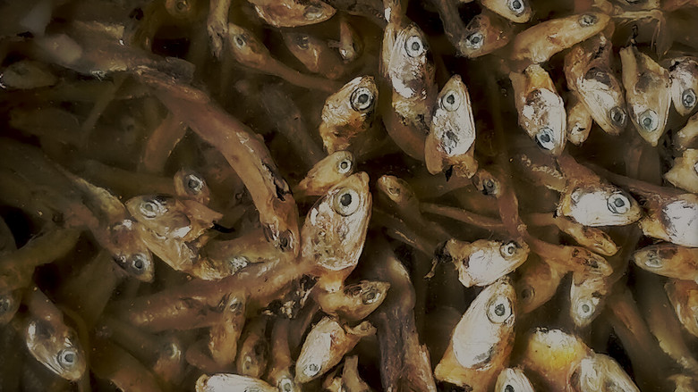 кадр из фильма Temimpi Maunjun