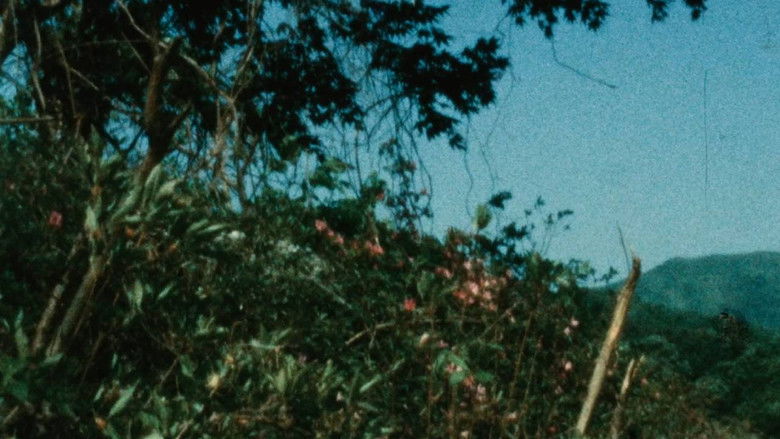 кадр из фильма Glistening Seagull