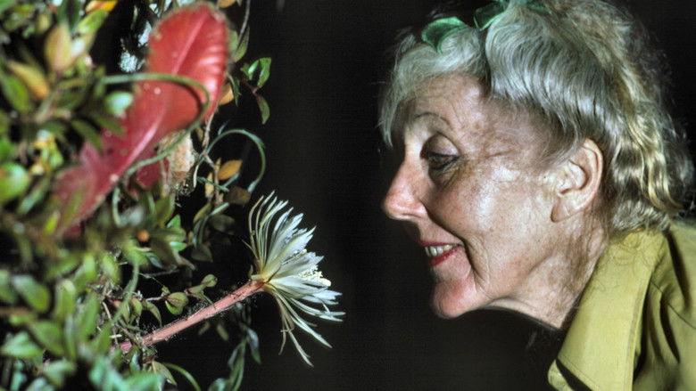 кадр из фильма Margaret Mee and the Moonflower