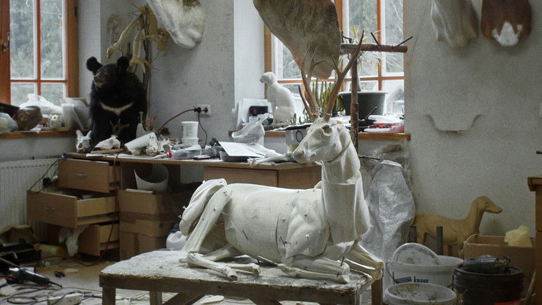 кадр из фильма Animus Animalis (istorija apie žmones, žvėris ir daiktus)