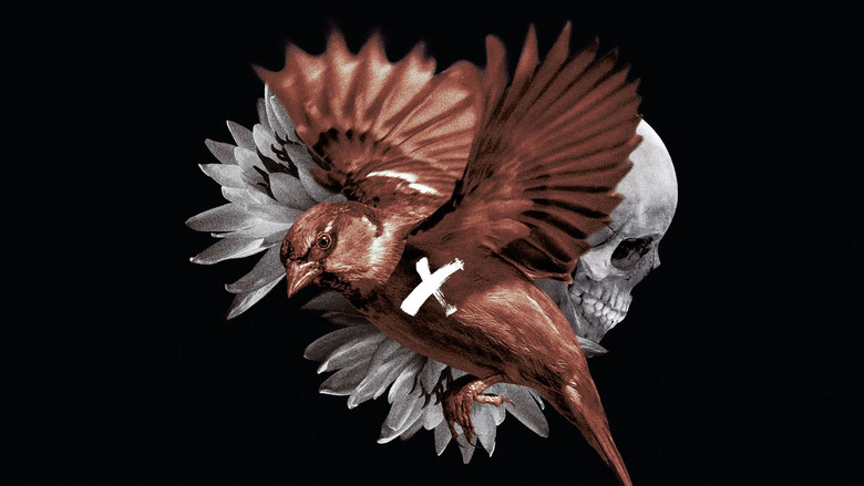 кадр из фильма Раскрашенная птица