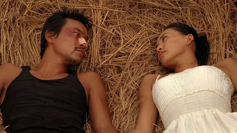 кадр из фильма 一半海水一半火焰