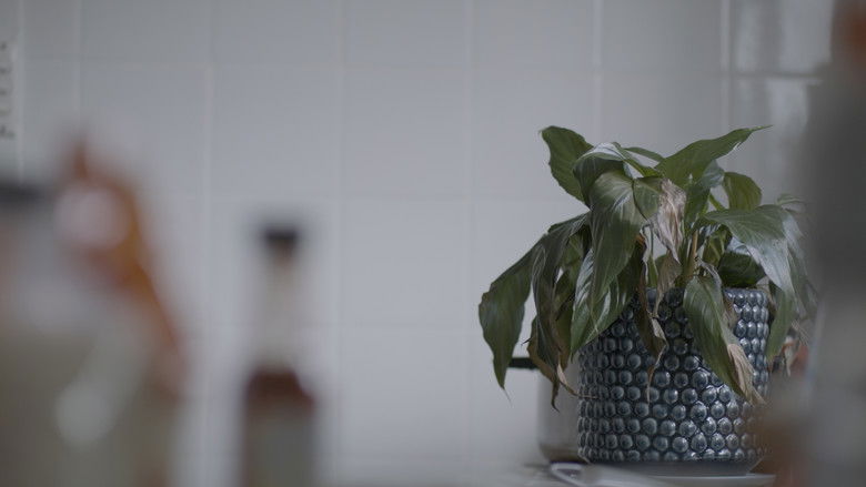 кадр из фильма The Pot Plant