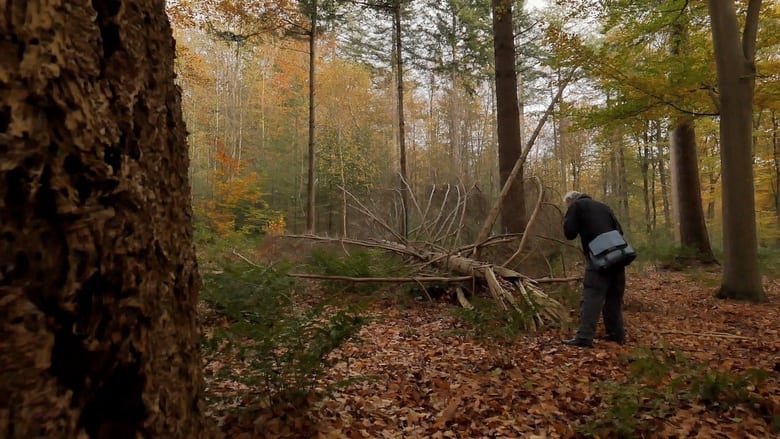 кадр из фильма Maken is het mooist